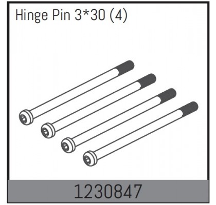 Inner Hinge Pin (4)