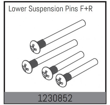Lower Suspension Pin Set F/R