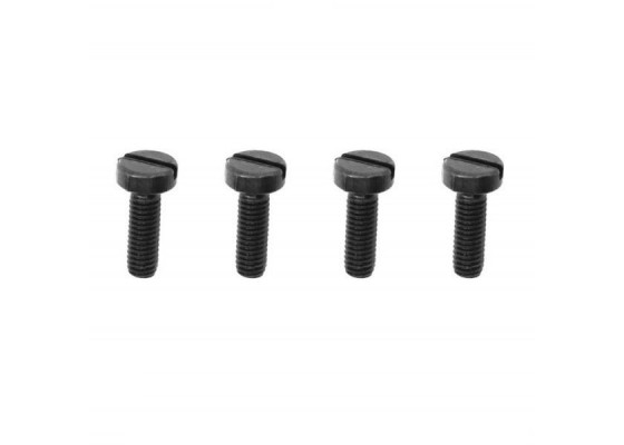 .21/.28 Backplate Cover Screws