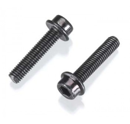 FLANGED CAP HEAD SCREW M5X22mm (2ST)