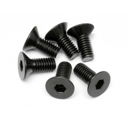 Düz Kafa 3x6mm Vida (10ad)