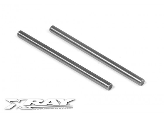 Suspension Pivot Pin (2) (3x48mm)