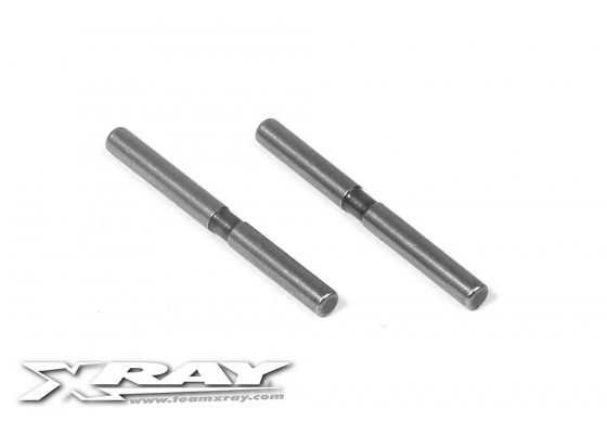Rear Arm Pivot Pin (2) (3x32mm)