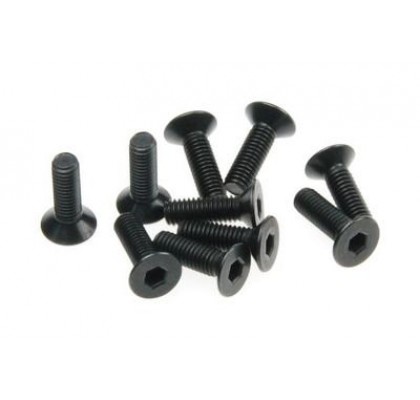 Düz Başlı Vida M3x10mm (10pcs)