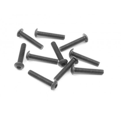 Alyan Düğme Başlı 3X16mm Vida (10 Adet)