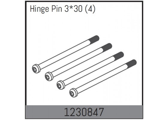 Inner Hinge Pin (4)