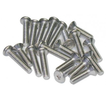 Düz Kafa 3x12mm Vida (10ad)