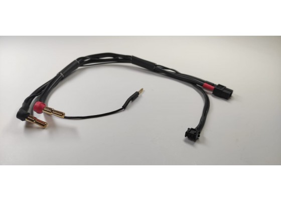XT60 - 4/5mm Charge Leads 12Awg 300mm
